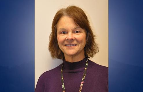 Sheila Wolfe